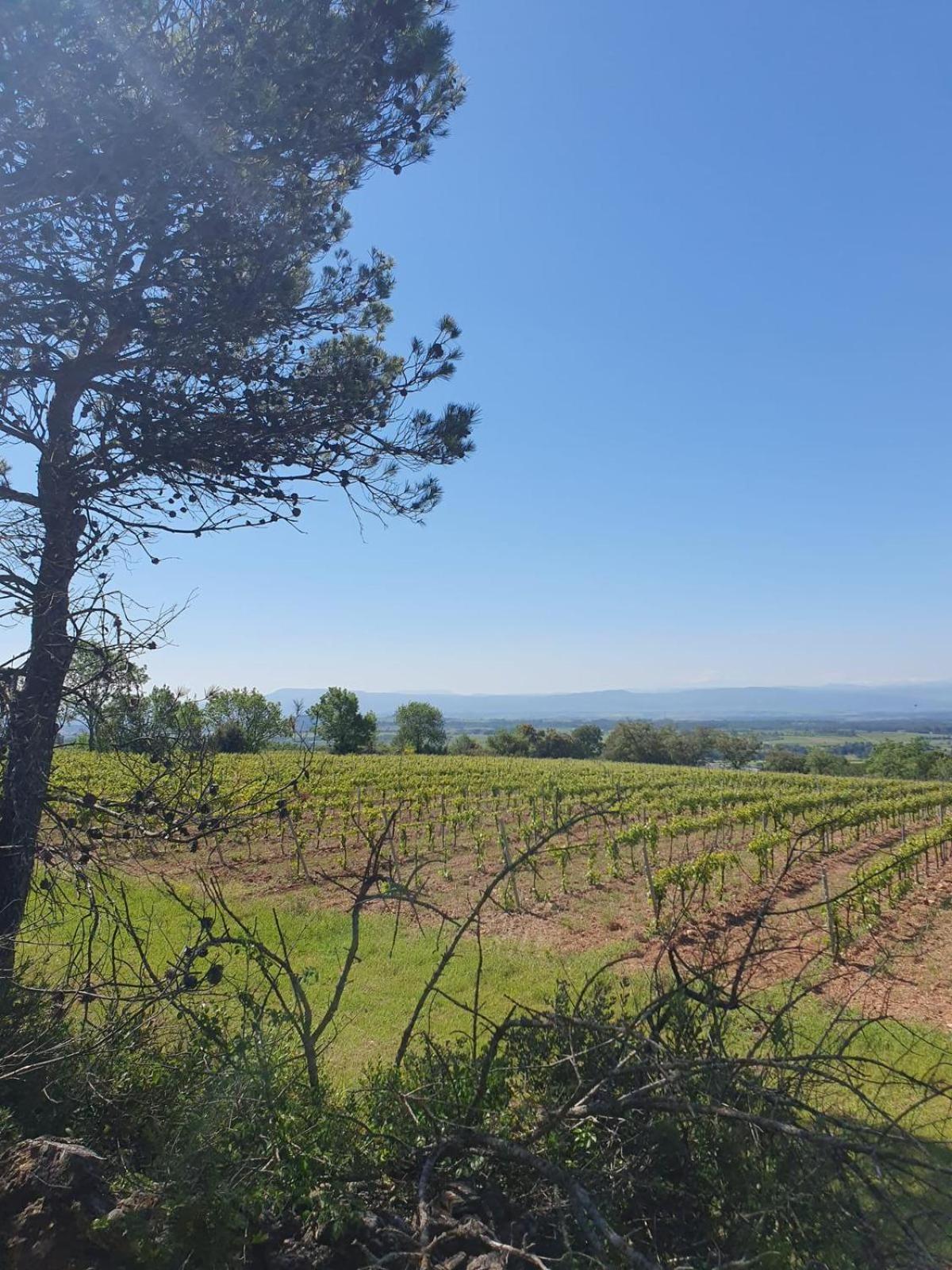 Maison De Charme Caunes-Minervois Esterno foto